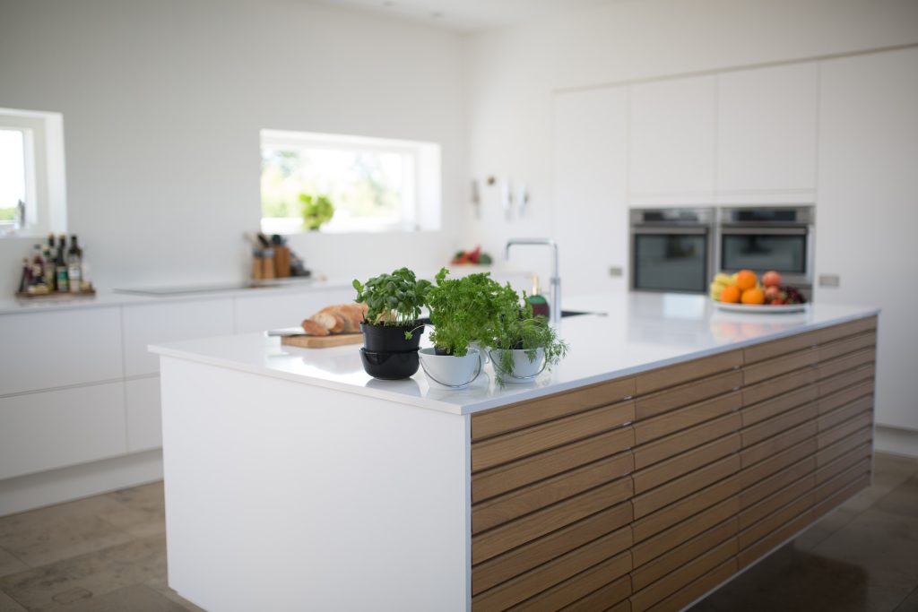 Green Leafed Plants On Kitchen Island